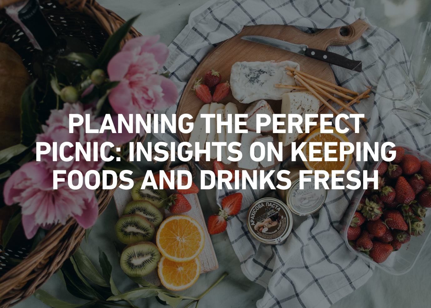 Planning the Perfect Picnic: Insights on Keeping Foods and Drinks Fresh