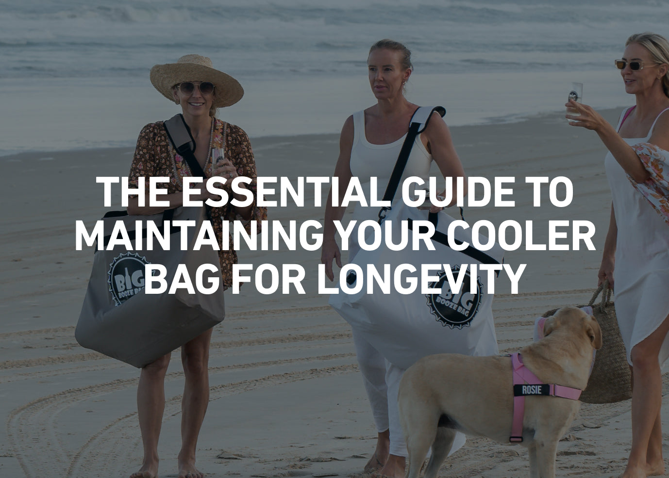 The Essential Guide to Maintaining Your Cooler Bag for Longevity