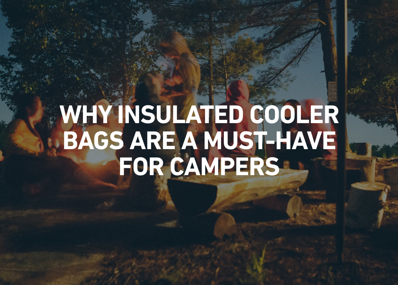 Why Insulated Cooler Bags are a Must-Have for Campers