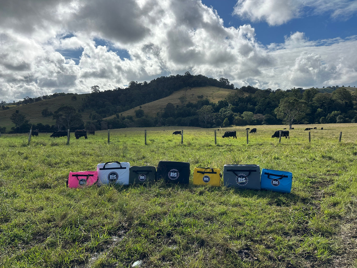 Cooler Bags